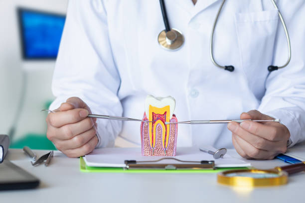 Best Emergency Dental Services for Seniors in Dayton, TX